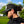 Load image into Gallery viewer, Louisville Legacy Cap